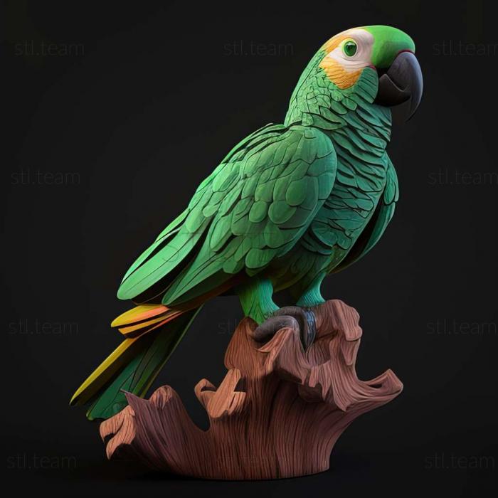 Animals parrots k